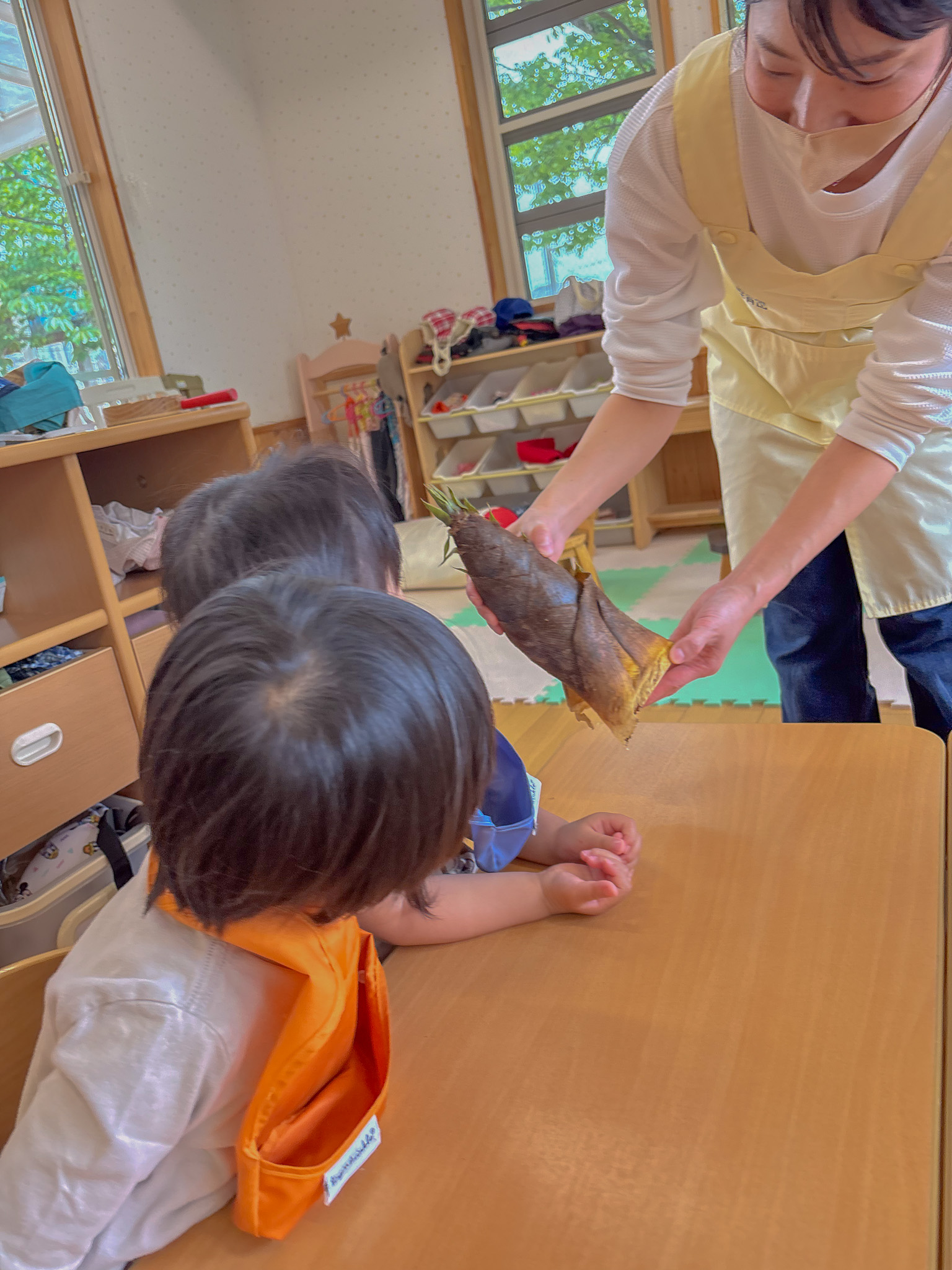たけのこを見せてもらう様子