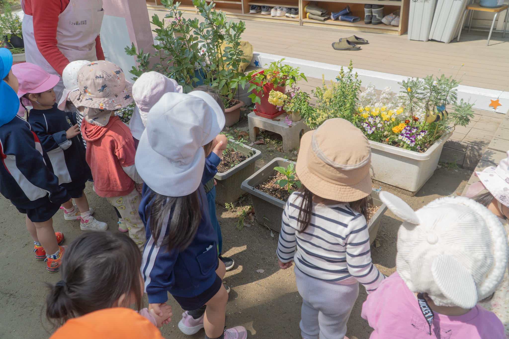園庭で植物を見つめる子どもたち