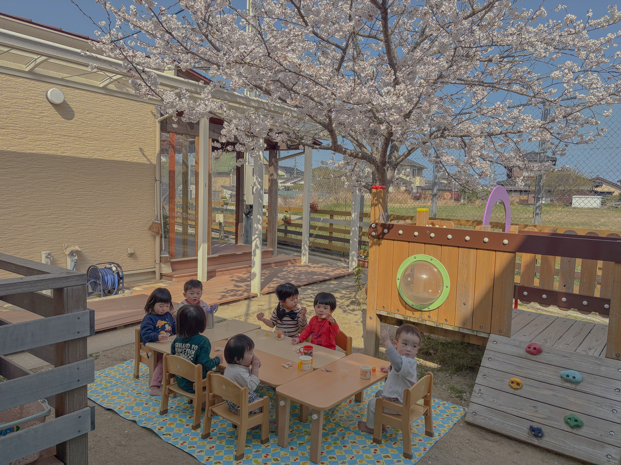 桜の下でおやつを楽しむ子どもたち