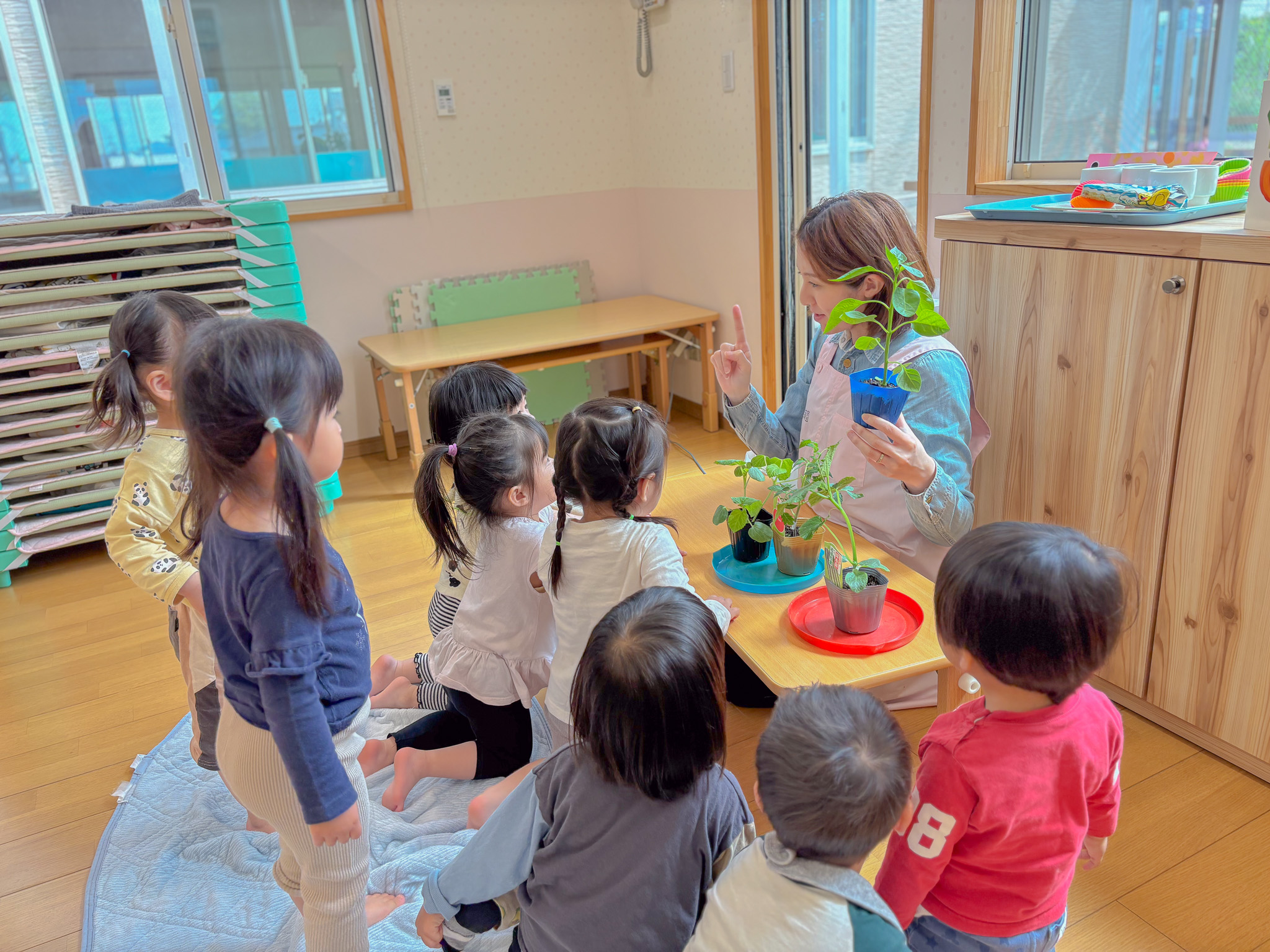 苗を植える子どもたち