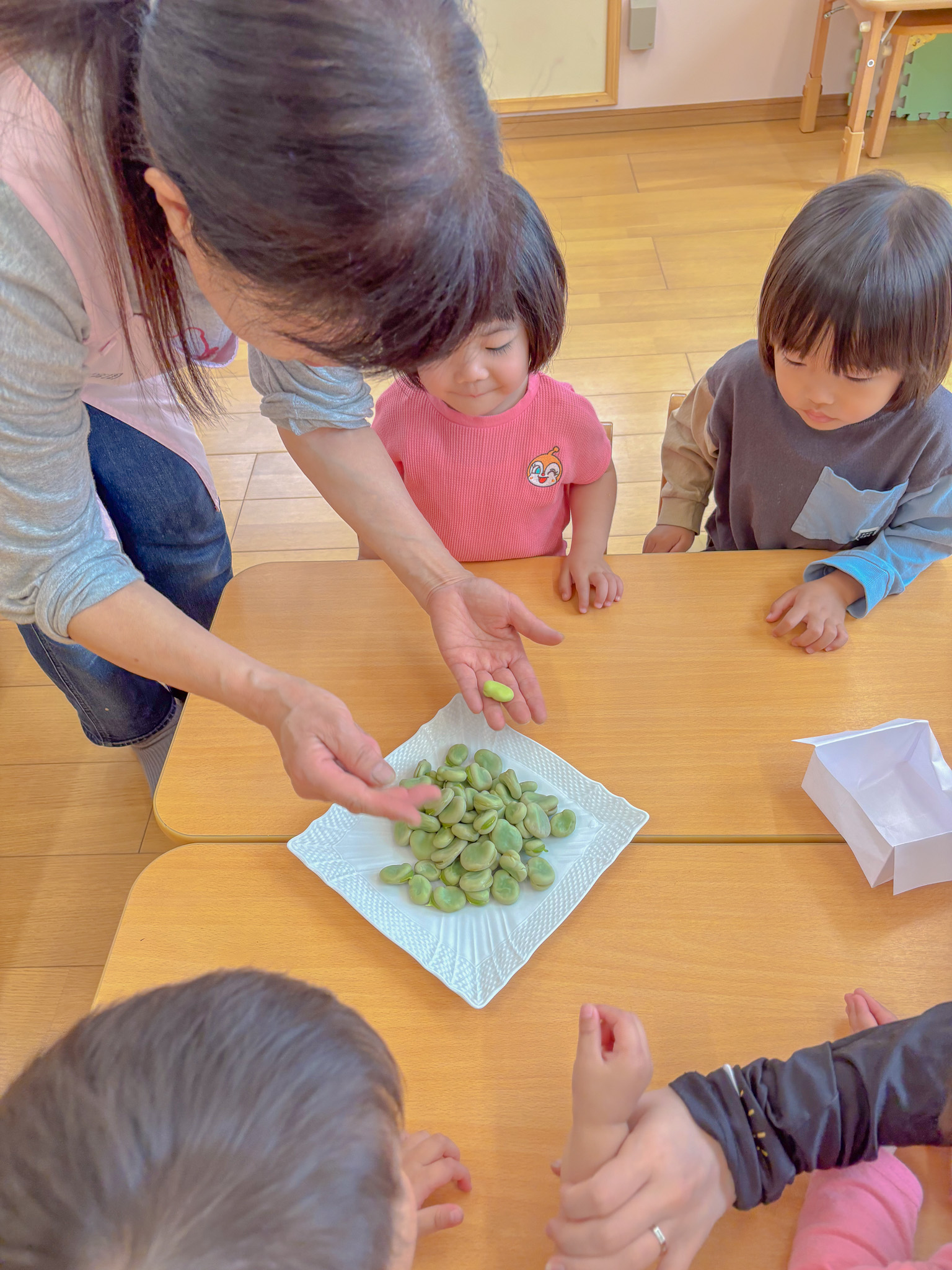 先生と一緒にそらまめを確認する子どもたち