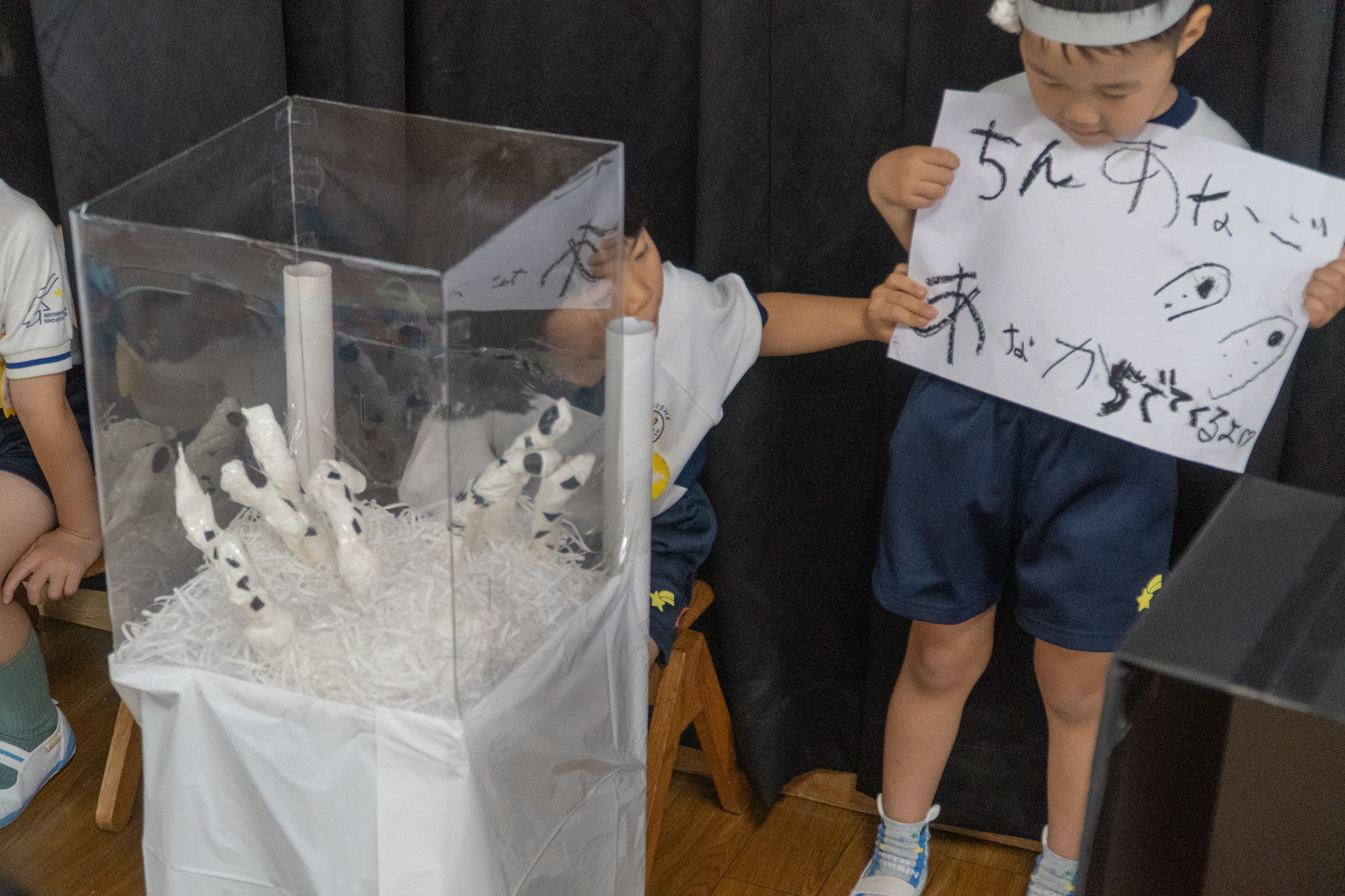 ちんあなごの展示を見る様子