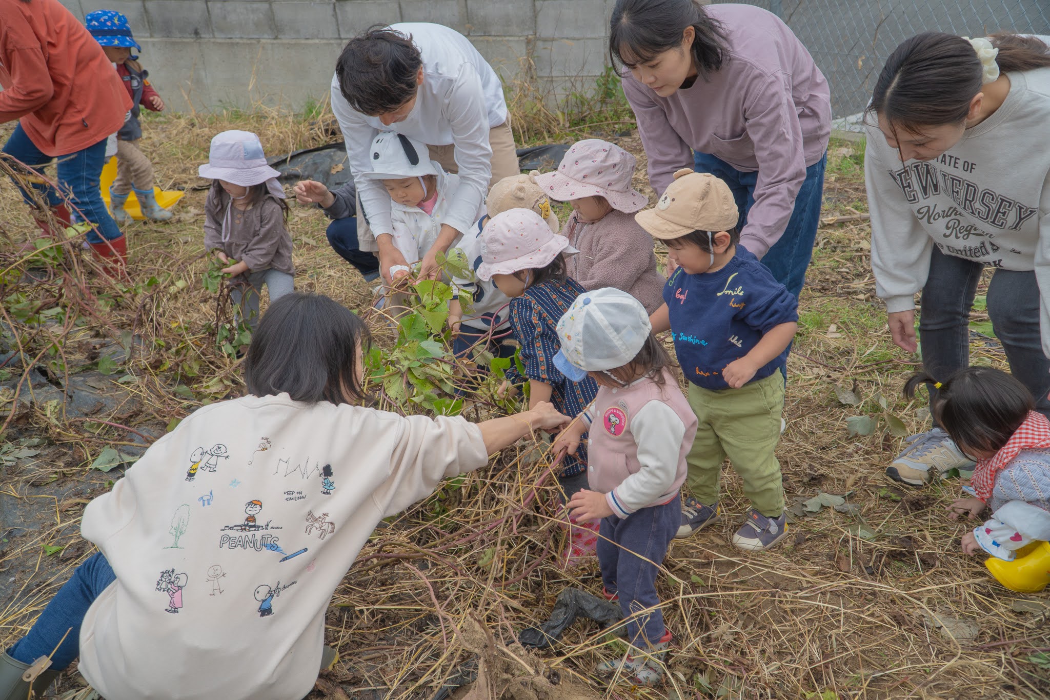 つるをひっぱる子どもたち