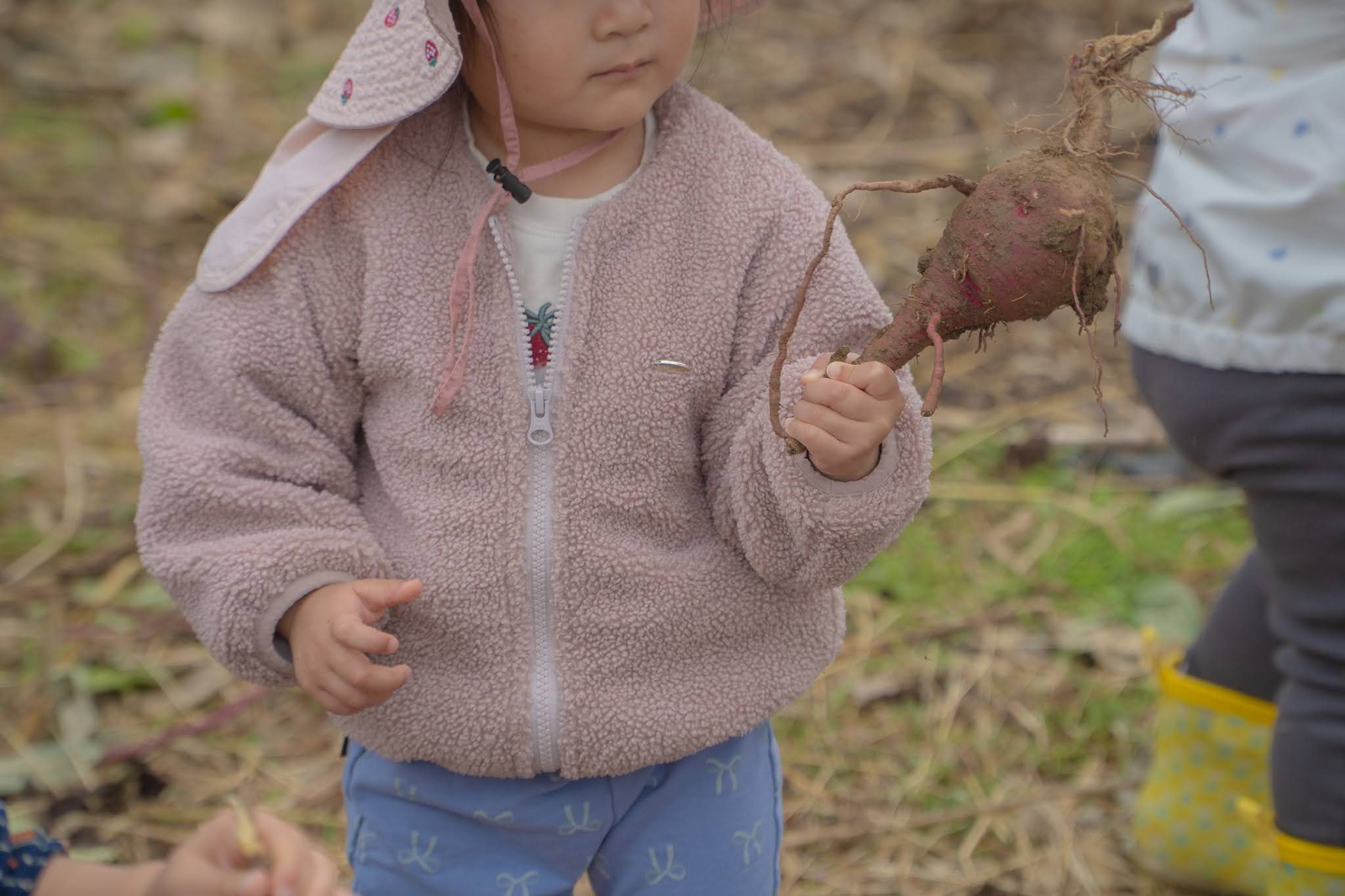 お芋を見つける子ども