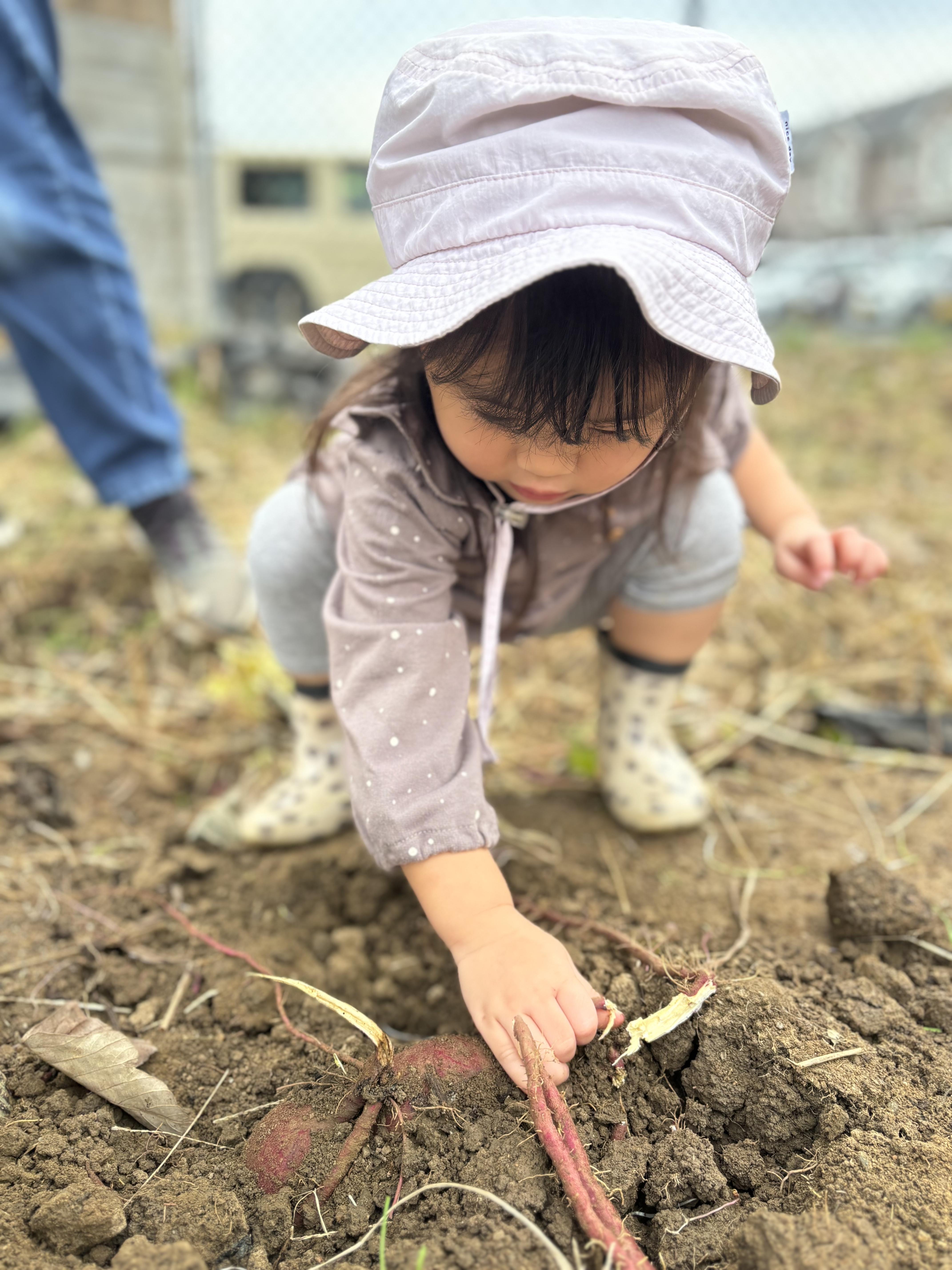 お芋を手にする子ども