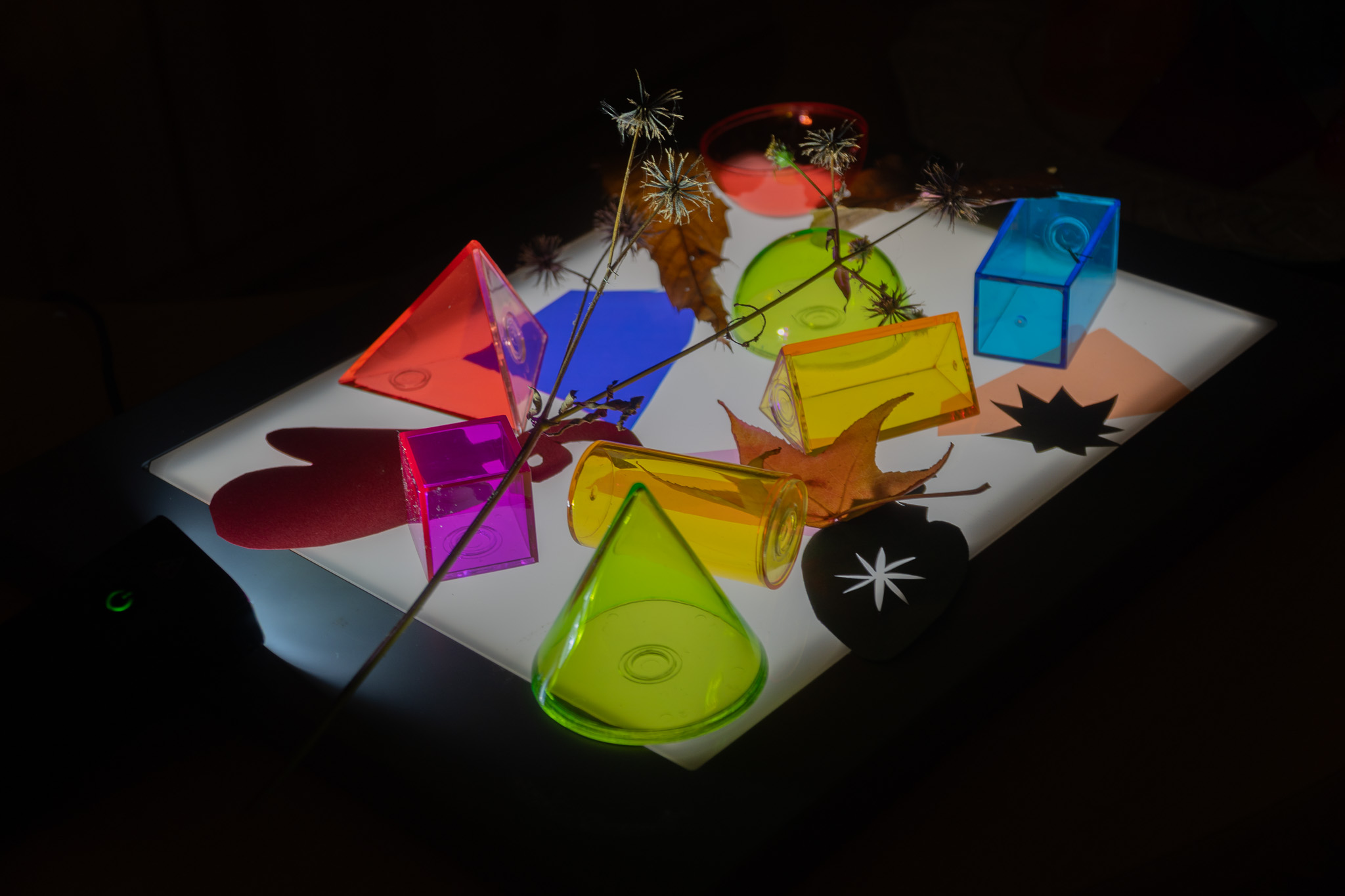 トレース台の上に並べられたカラーブロックと葉っぱ