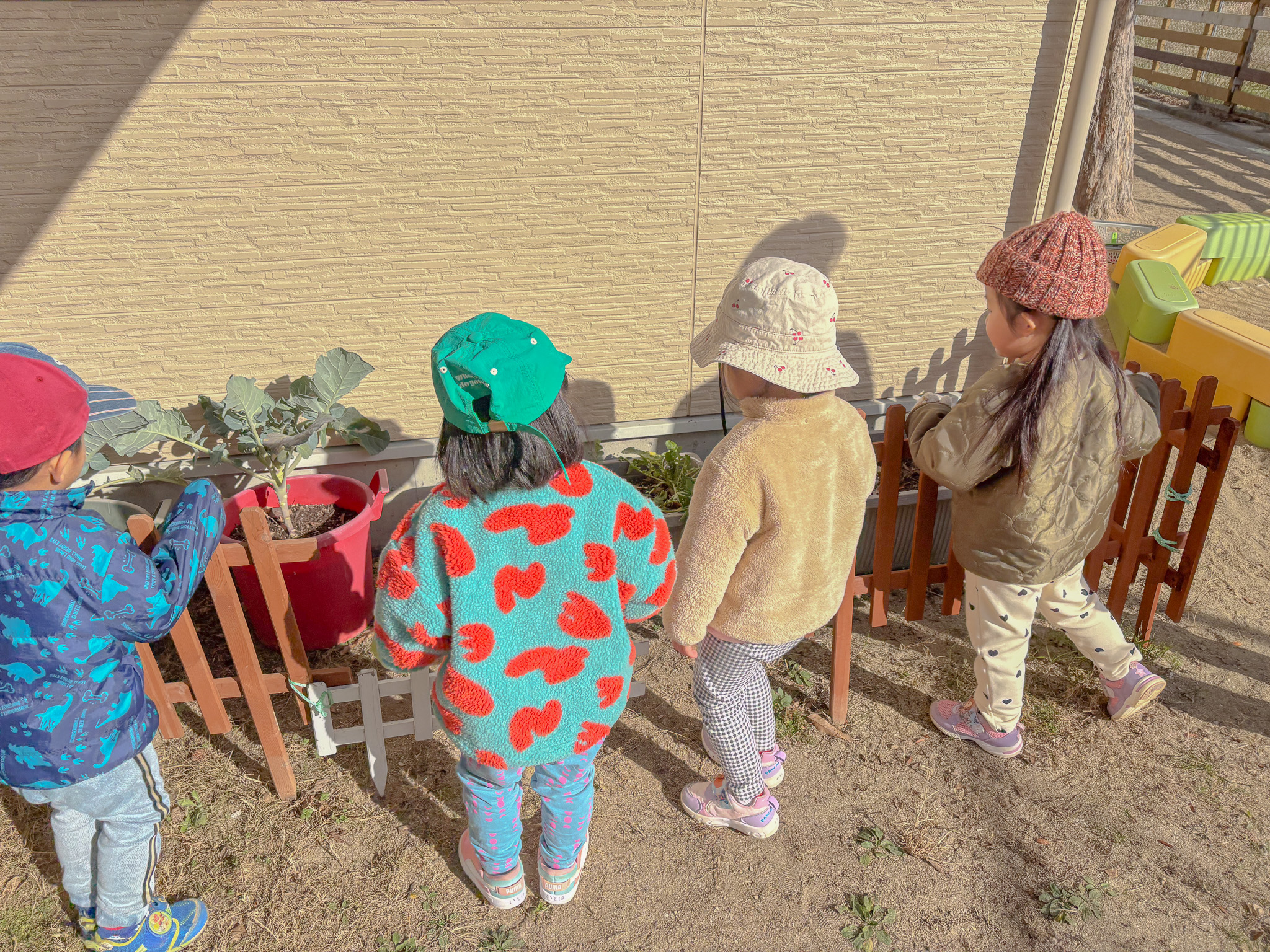 プランターの野菜を観察する子どもたち