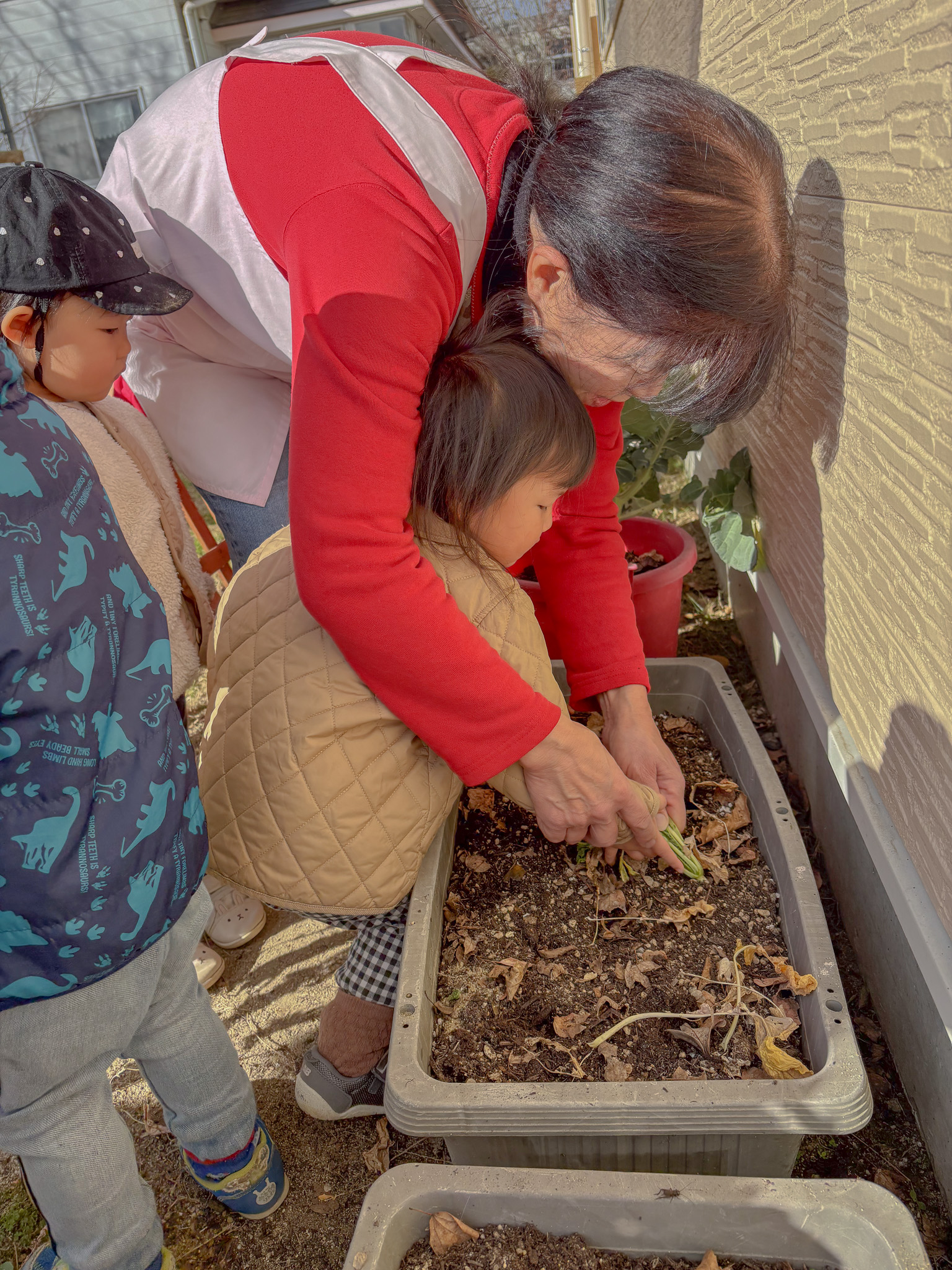 抜いた大根を嬉しそうに見せる子ども