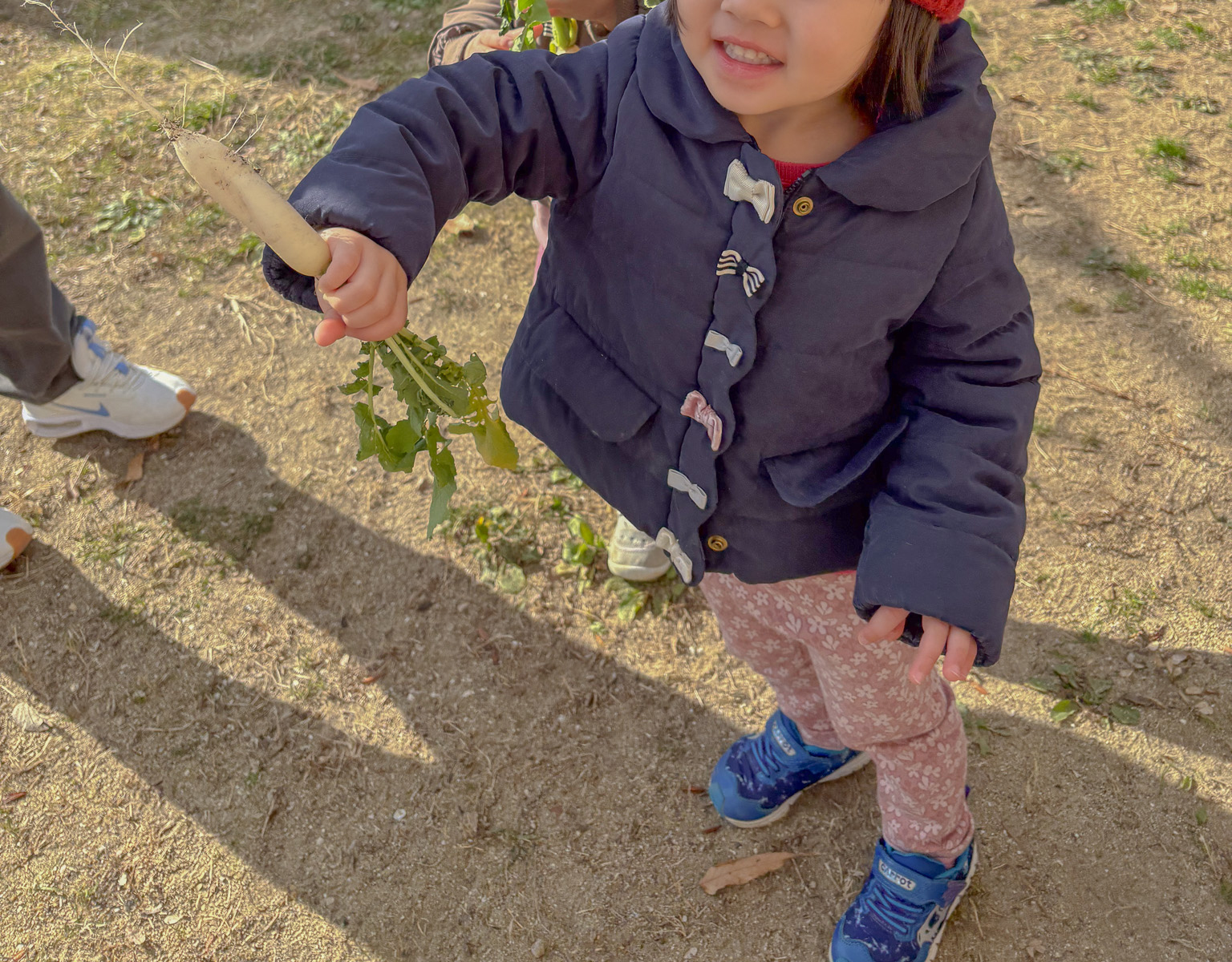 収穫した大根を給食室に届ける子どもたち
