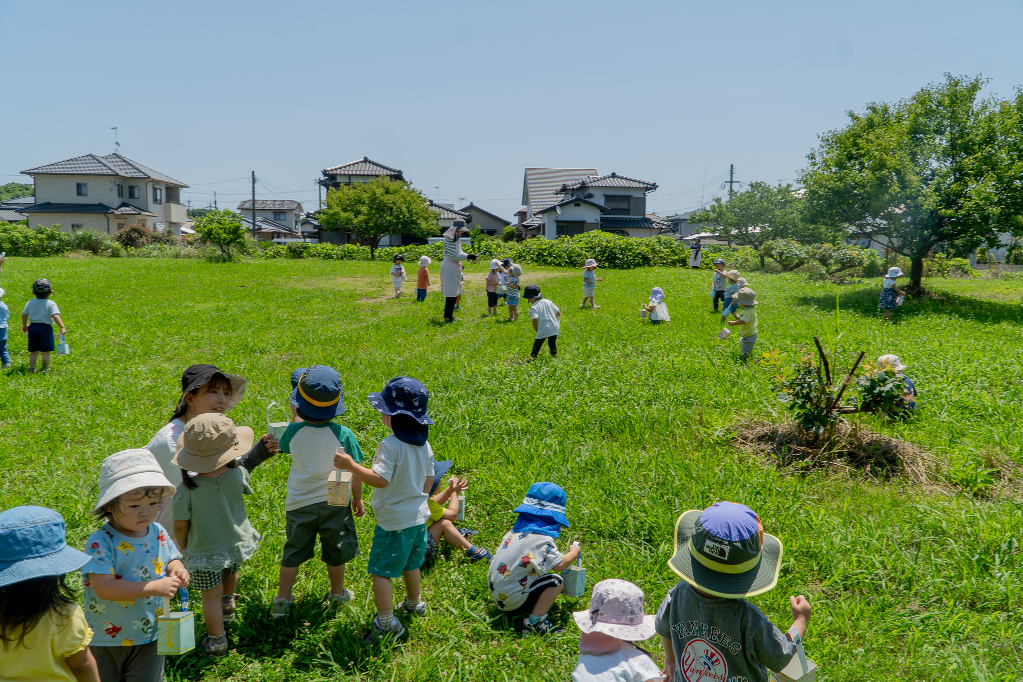 草原を歩く子どもたちの様子
