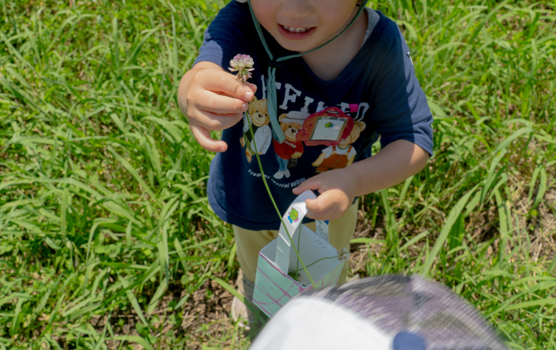 クローバーを見せる子ども