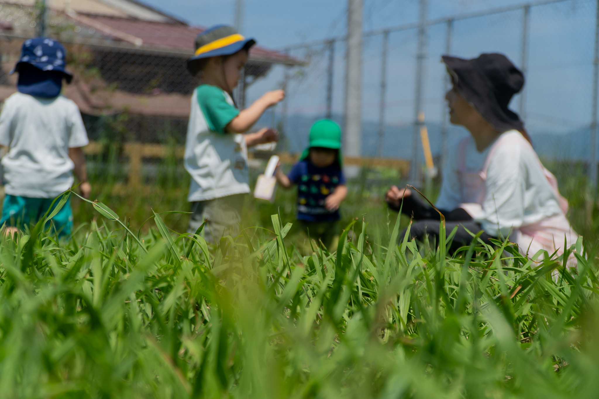 保育者と向き合う子どもたち
