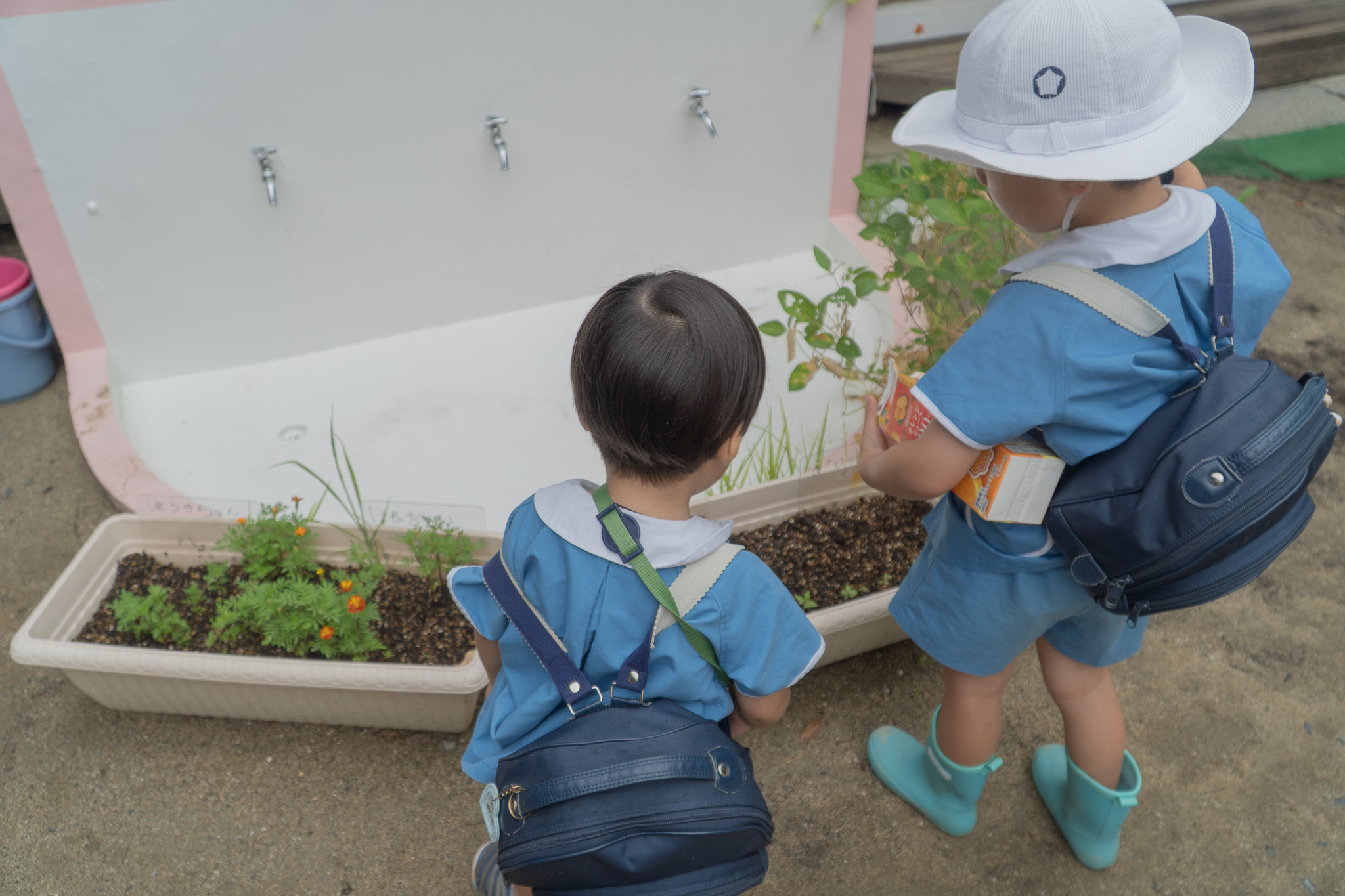 一緒に観察する子どもたち