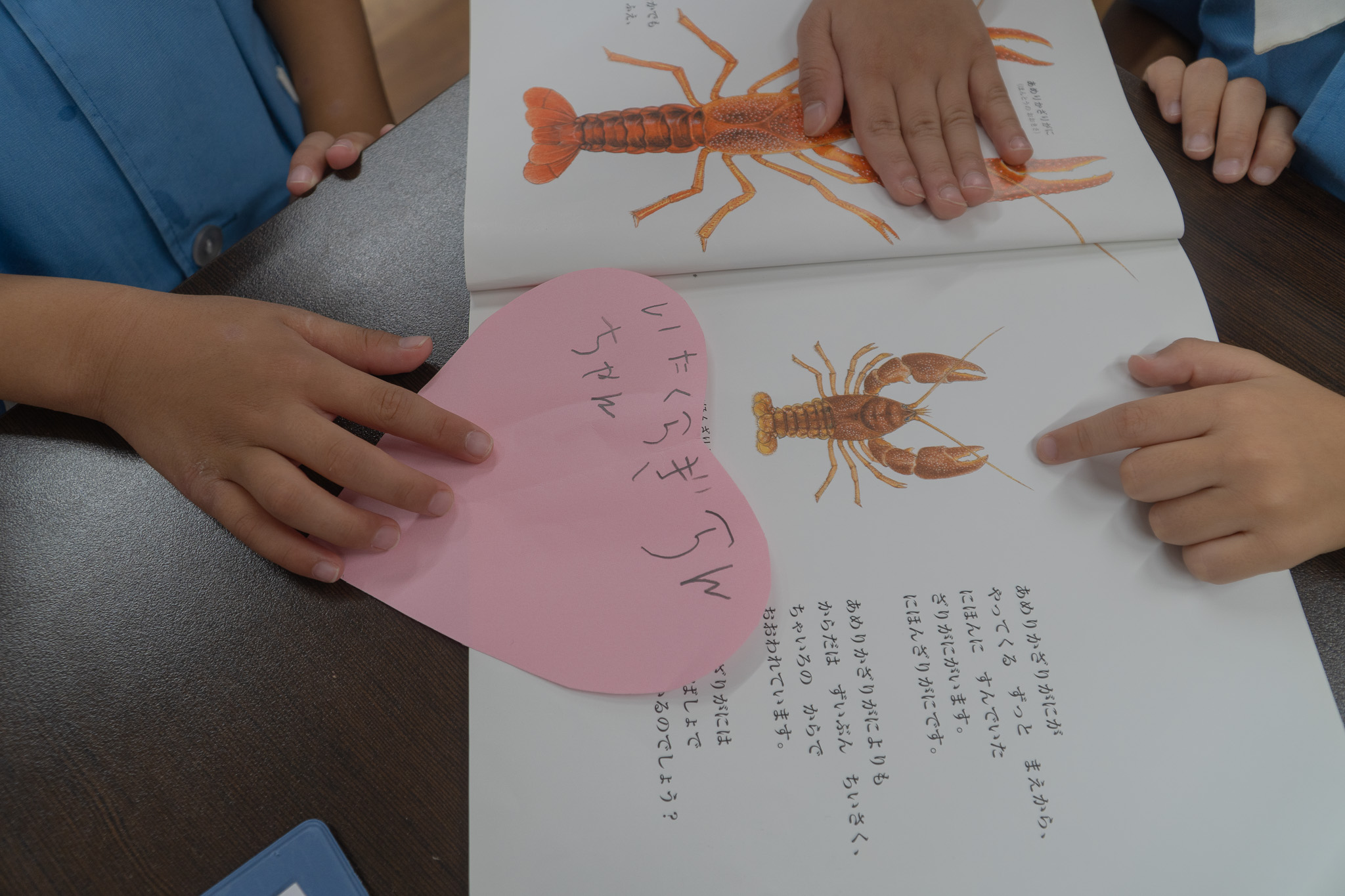 ザリガニに名前をつける様子