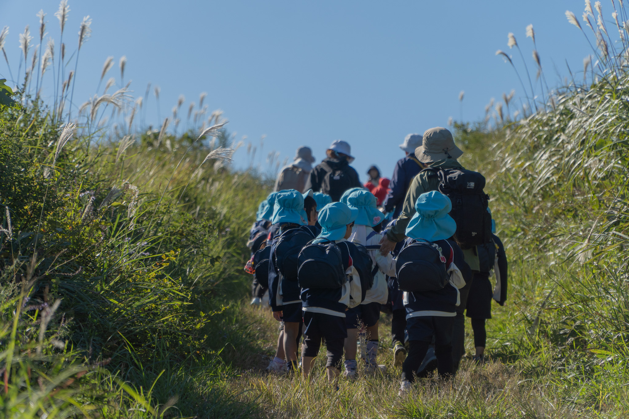 長い列で歩く年中クラス