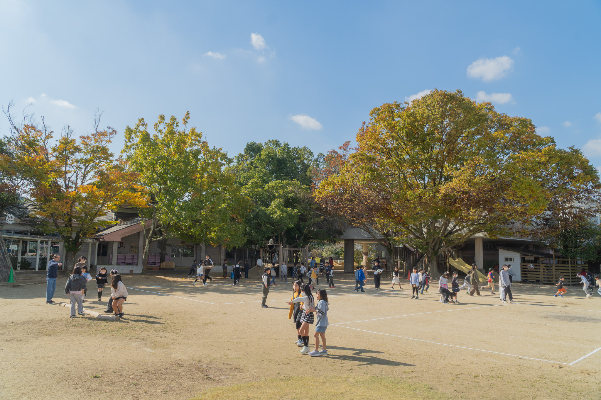 園庭で遊ぶ子どもたち