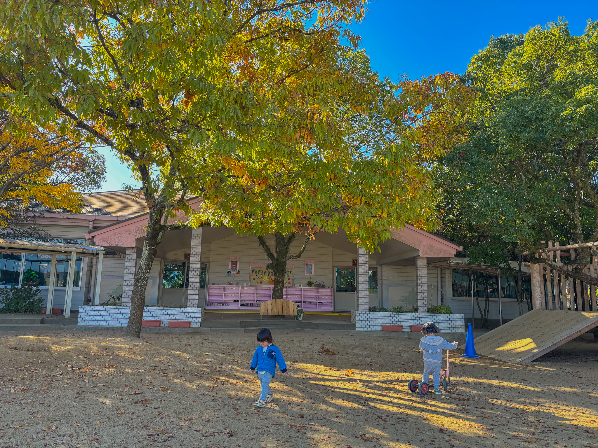 色づいた木々と園庭で遊ぶ子どもたち