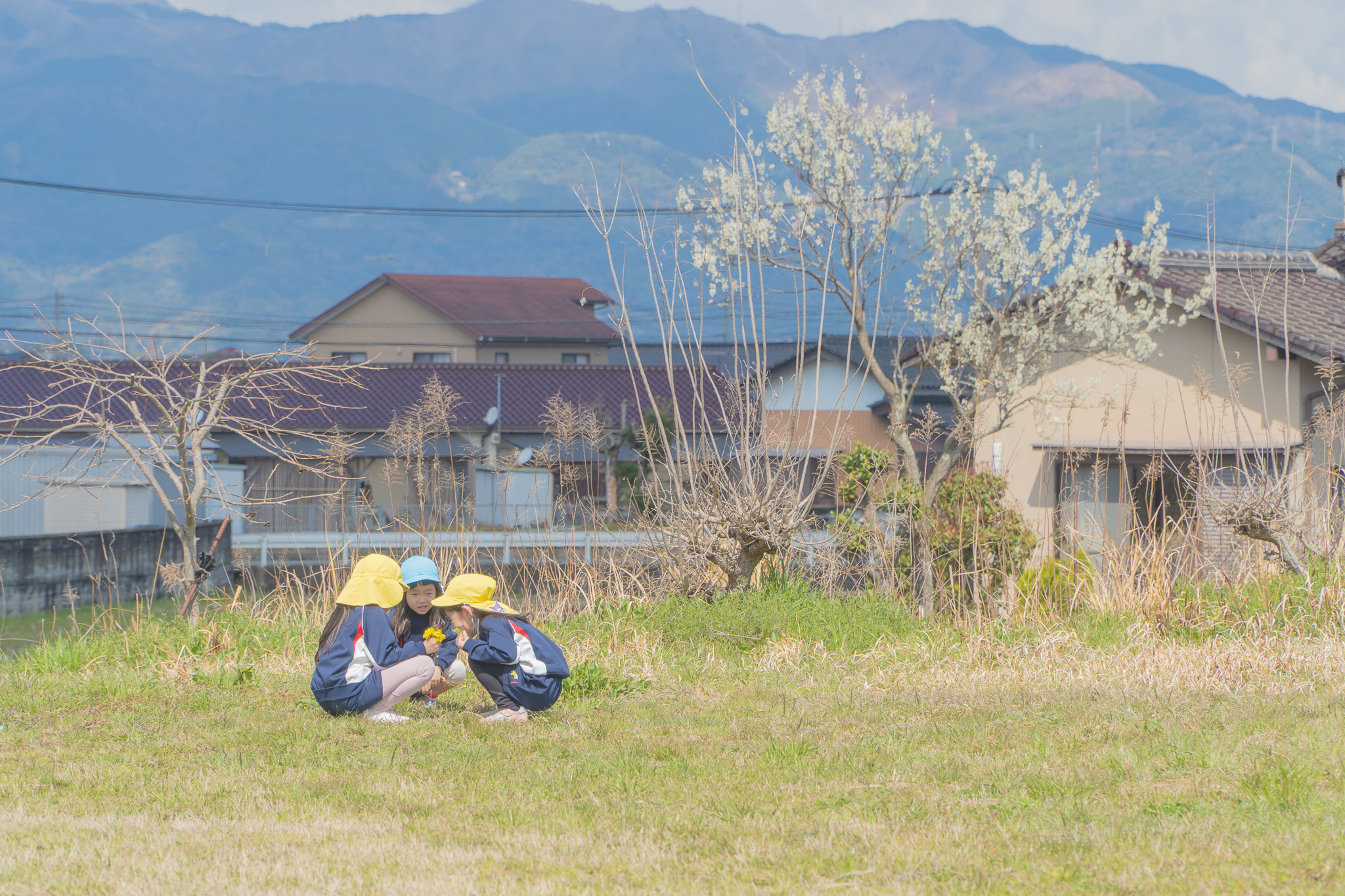 草花を見つける子どもたち